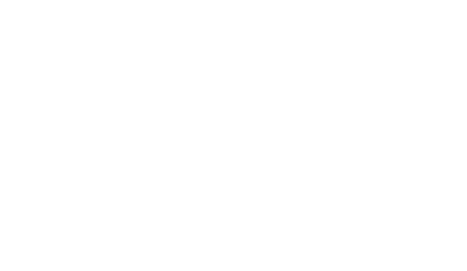 The Wedding of Alarise & Christian